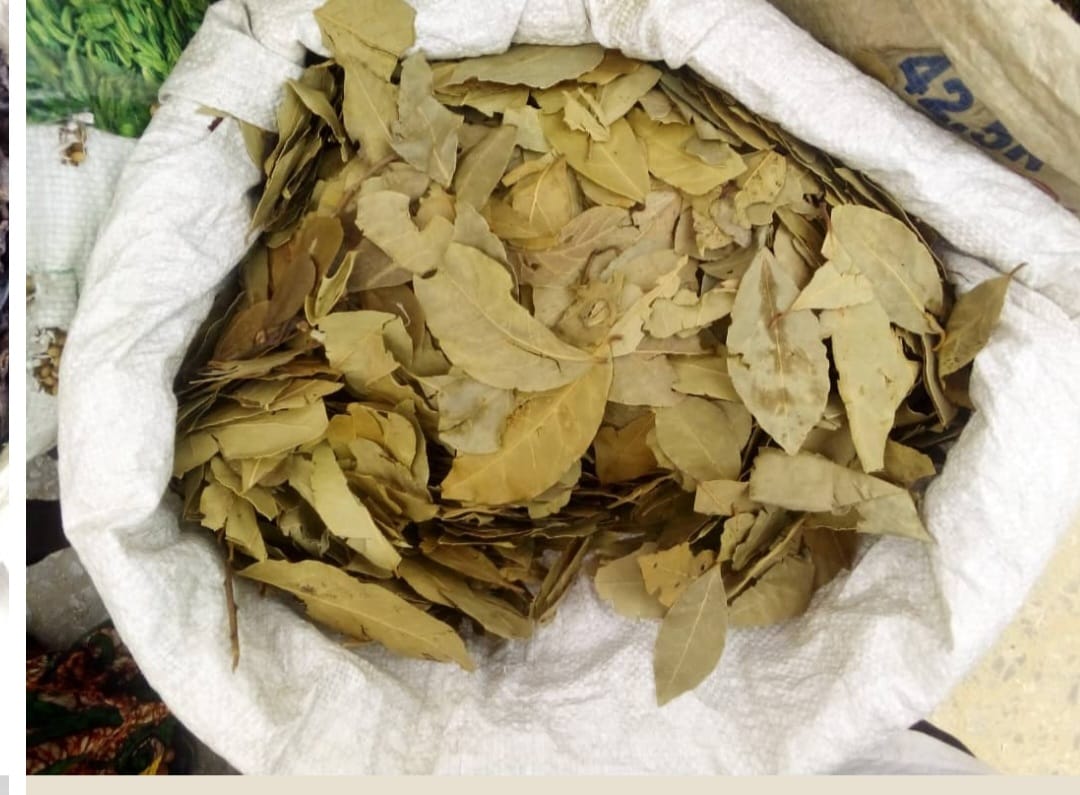 img-WhatsApp Image 2025-05-10 at 05.14.25_f0798077.jpg